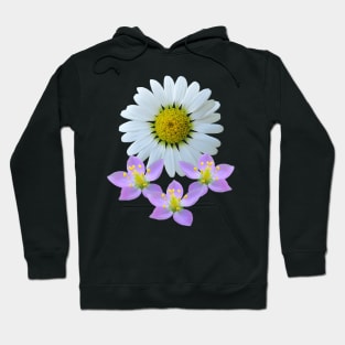 bunch of flower pink daisy daisies bloom Hoodie